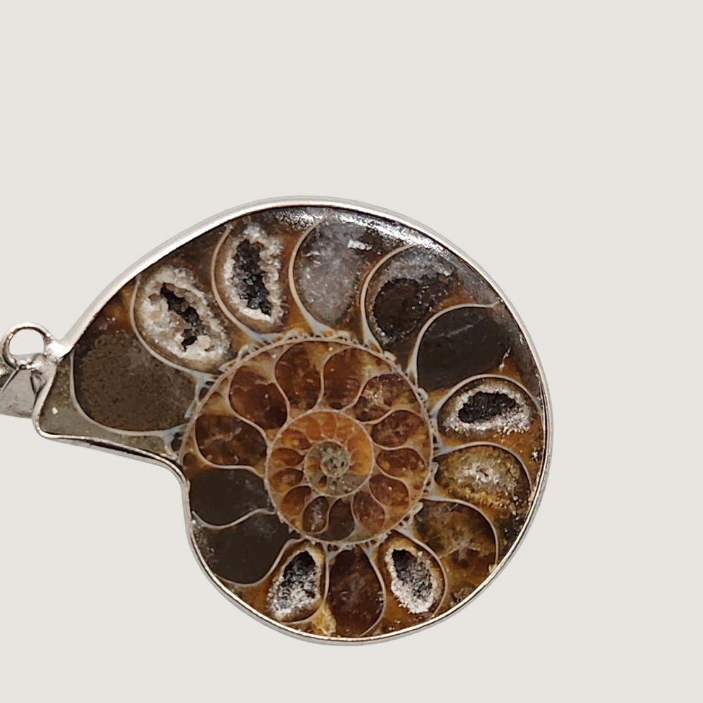 Natural Ammonite Fossil Pendant 1.5" Polished Iridescent Shell Statement Jewelry